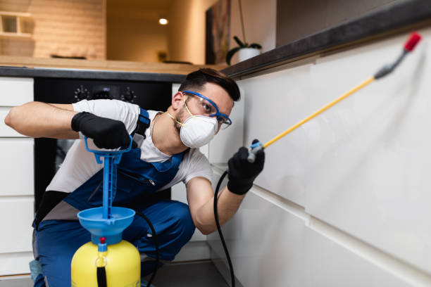 Best Pest Control Near Me  in Roselle, NJ