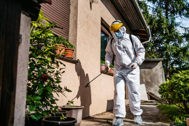 Best Rat Extermination Near Me  in Roselle, NJ