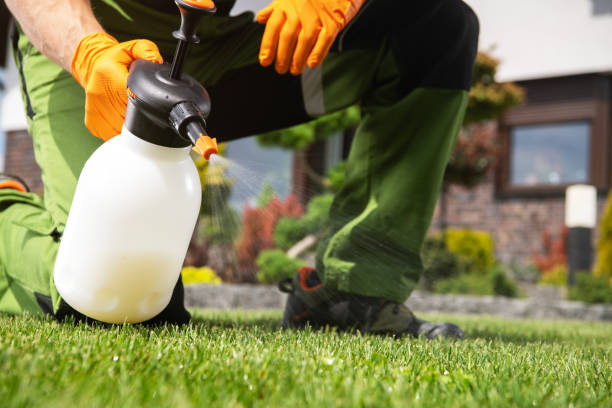 Best Best Pest Control Companies  in Roselle, NJ