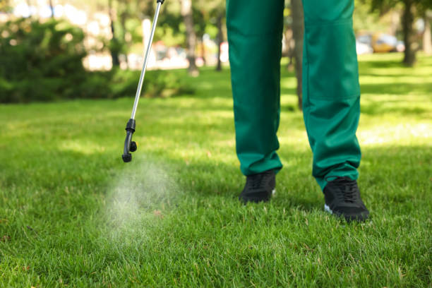 Best Wasp Removal Services  in Roselle, NJ