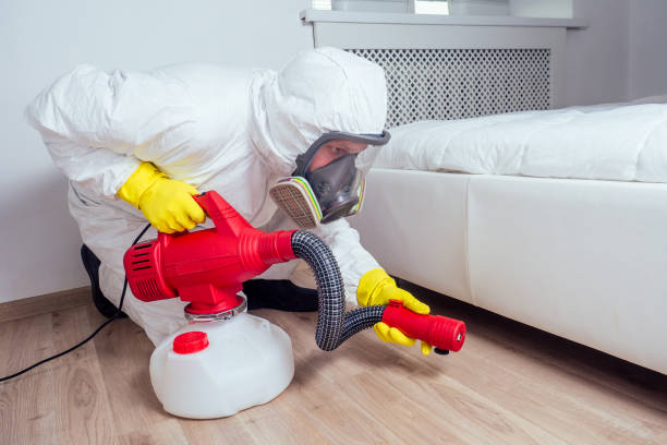 Best Residential Pest Control  in Roselle, NJ