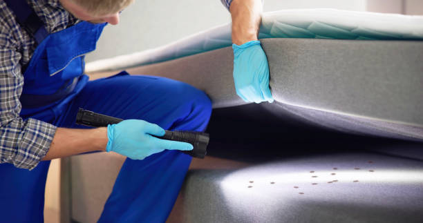 Best Affordable Pest Control Services  in Roselle, NJ