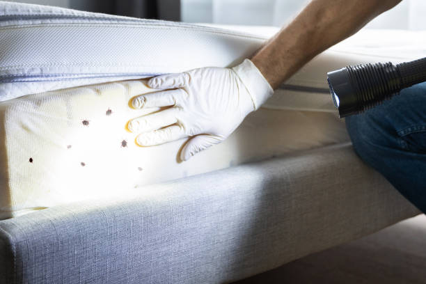 Best Best Pest Control Companies  in Roselle, NJ