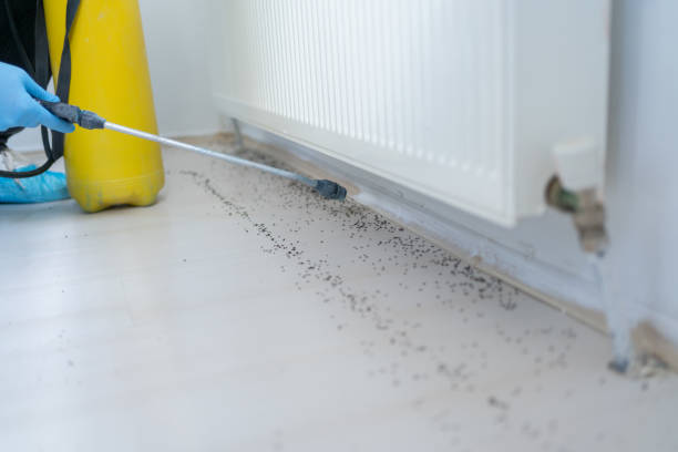 Best Pest Prevention Services  in Roselle, NJ