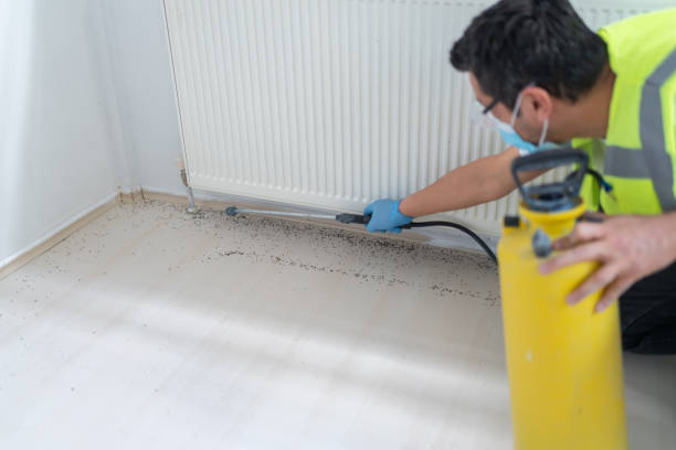 Best Pest Control Near Me  in Roselle, NJ